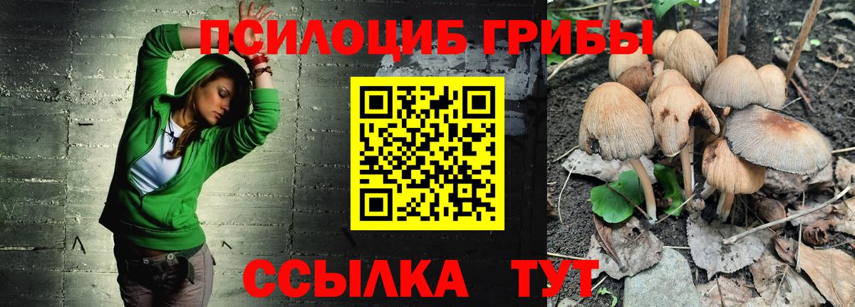 Псилоцибиновые грибы мухоморы  закладка  Грозный  Вход с VPN 